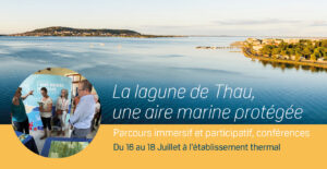 Lagune de Thau